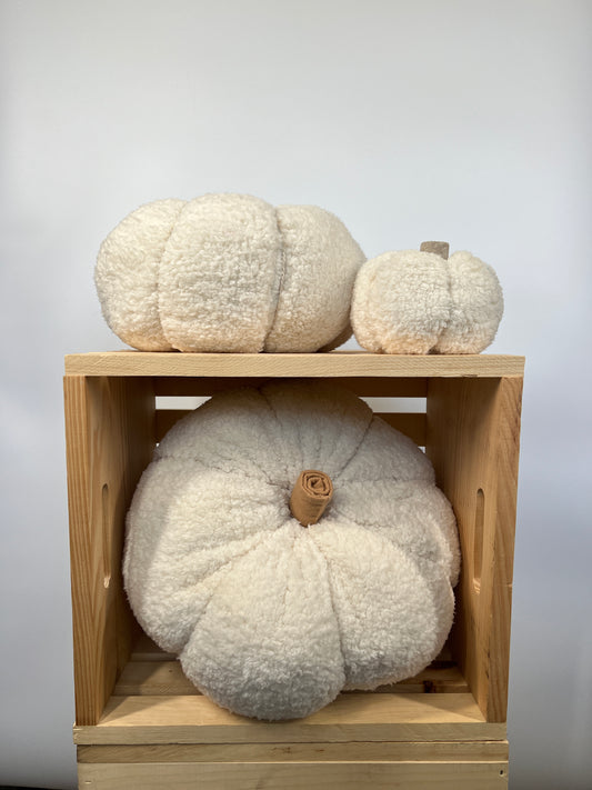 Sherpa pumpkins in ivory color