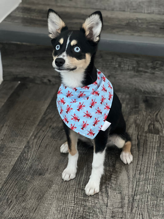 Pet reversible bandana “Lobsters”