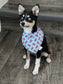 Pet reversible bandana “Lobsters”