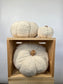 Sherpa pumpkins in ivory color