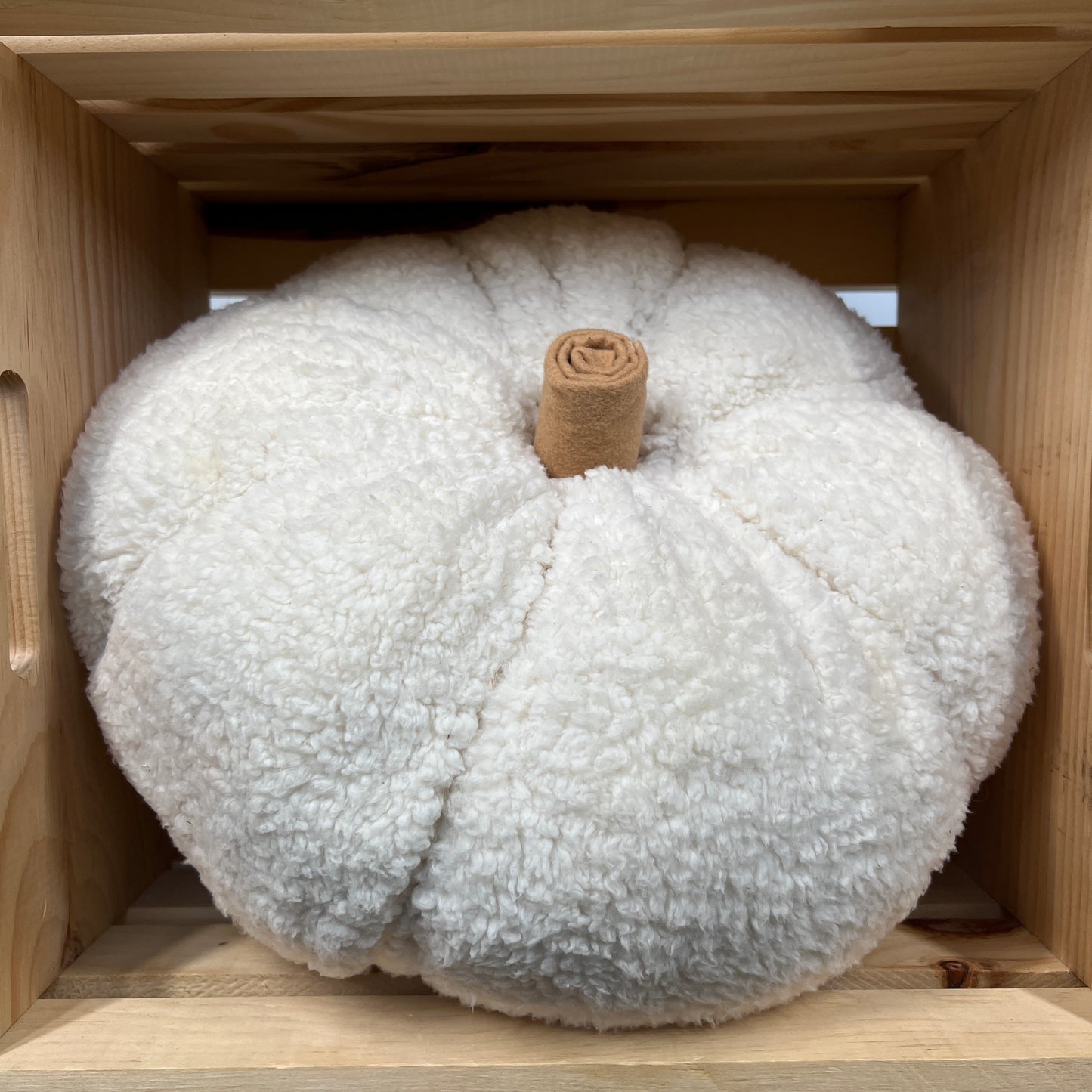 Sherpa pumpkins in ivory color
