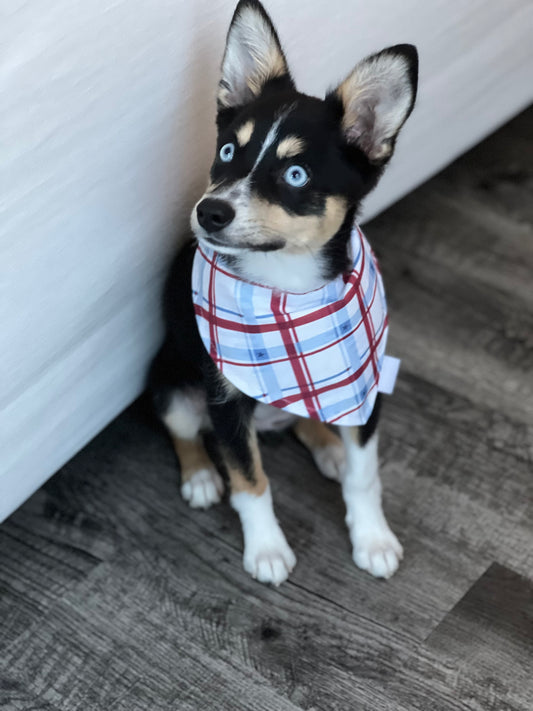 Pet reversible bandana “Patriotic Plaid”