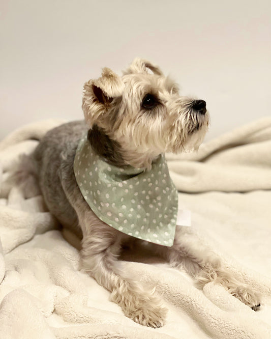 Pet reversible bandana “Polka dots”