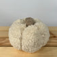 Sherpa pumpkins in ivory color