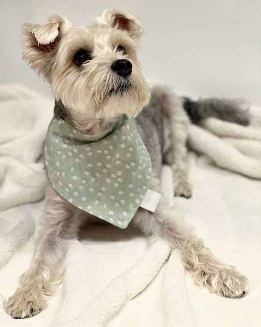 Pet reversible bandana “Polka dots”