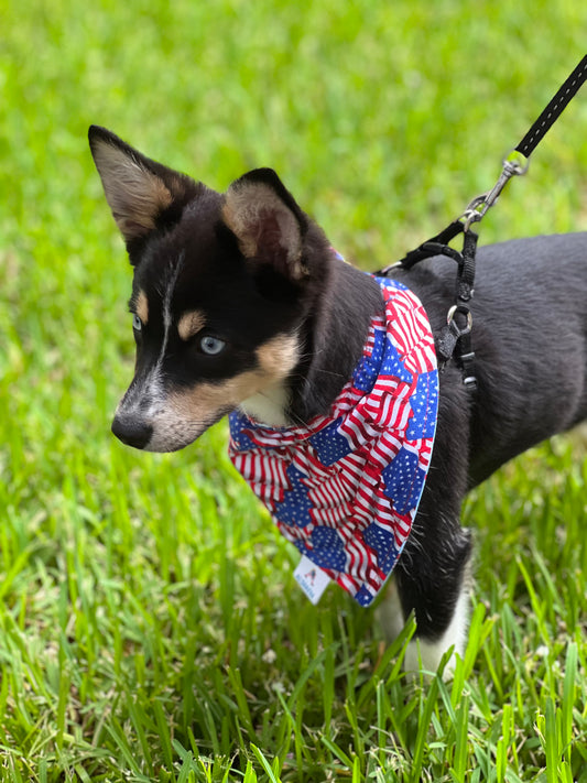 Pet reversible bandana “American flag”